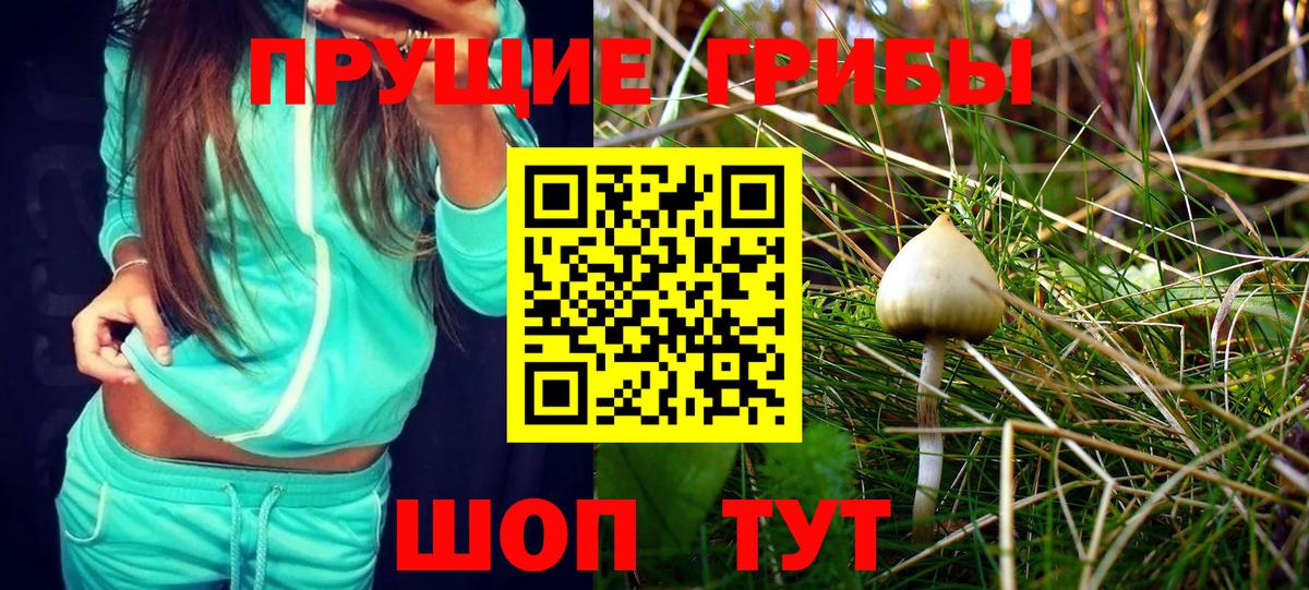 Галлюциногенные грибы MAGIC MUSHROOMS  Вход с VPN  Вышний Волочёк 
